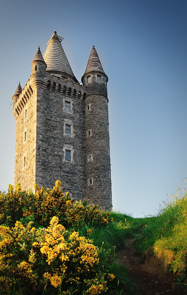 Scrabo Tower from Below