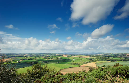 Belfast view from Killynether