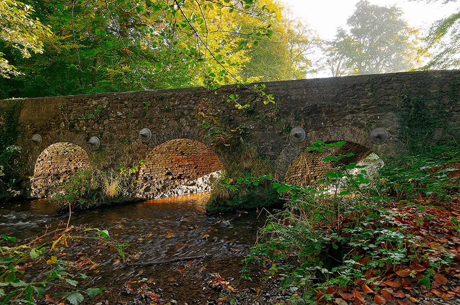 Minnowburn After Sunrise