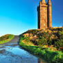 Scrabo Reflections