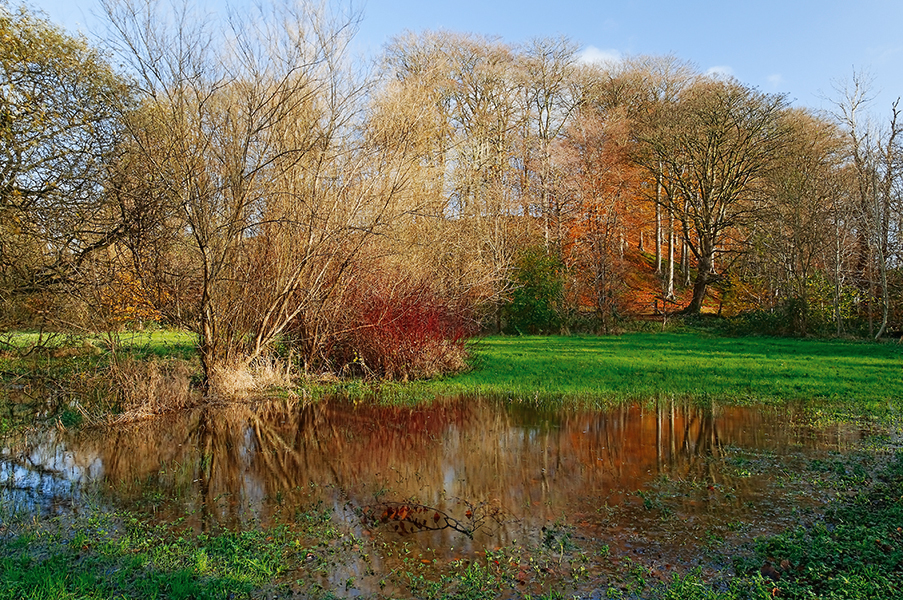 Minnowburn Flooded Field