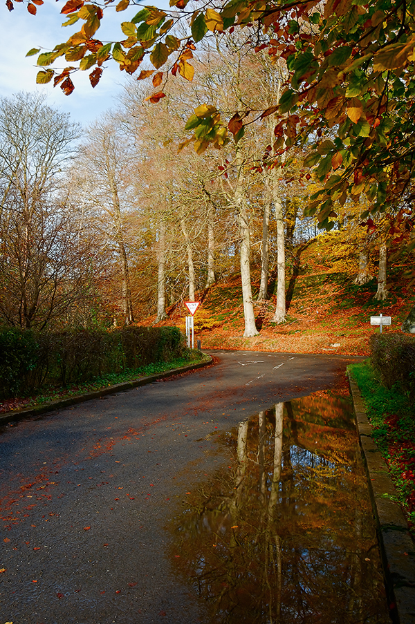 Minnowburn Road Reflections