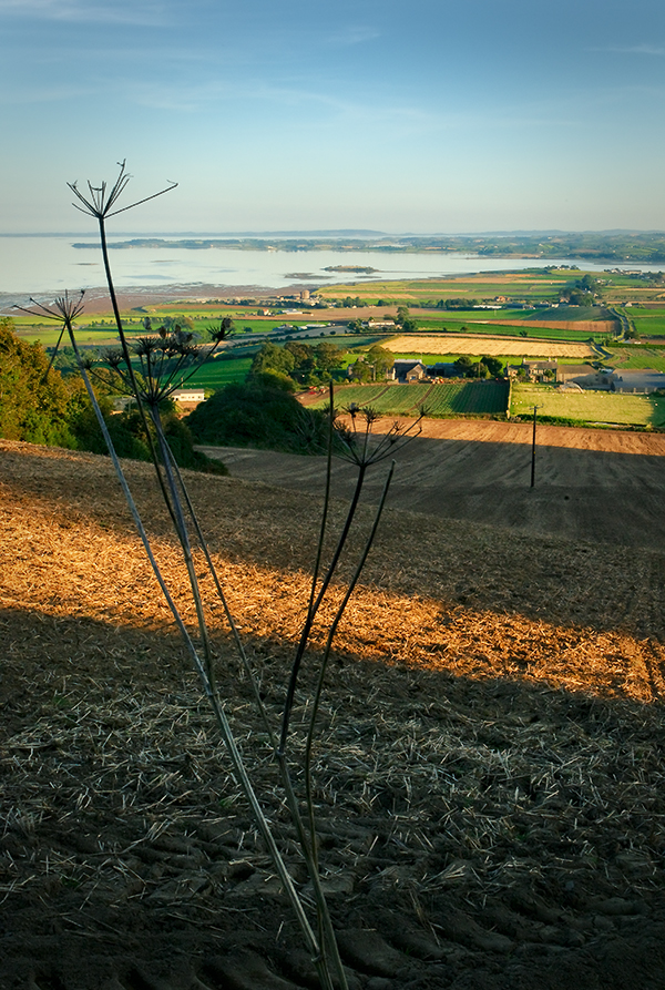 View from Scrabo Hill II