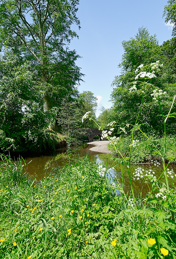 Minnowburn, May 2010 I