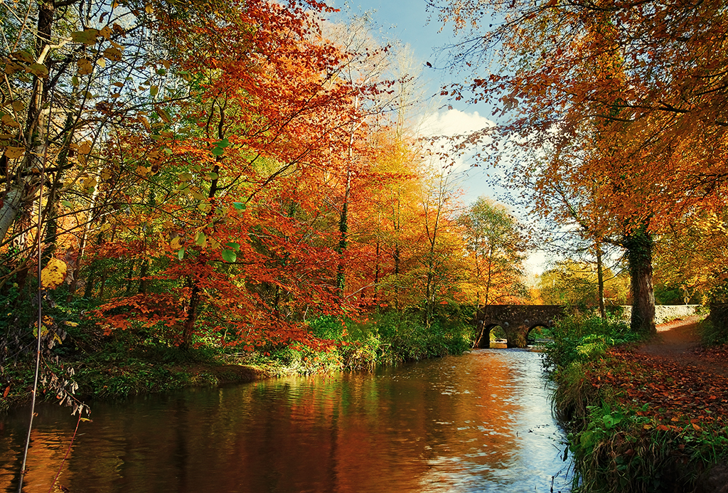 Minnowburn, October 2010