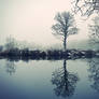 Drum Bridge, Winter Mist