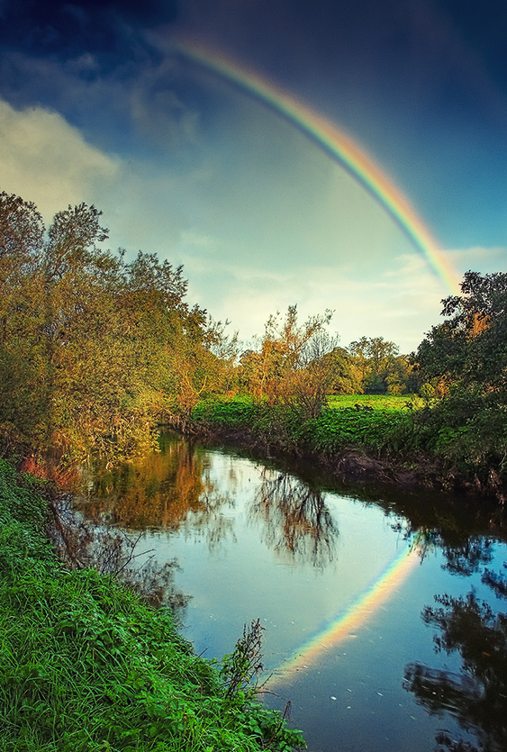 Lagan Rainbow V4