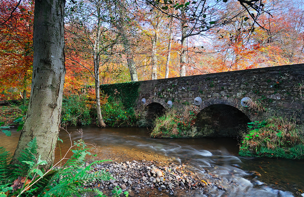 Minnowburn Bridge, Nov 2010