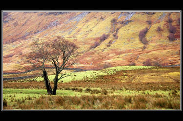 Glen Nevis