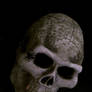 Skull stock