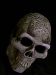 Skull stock by MysticrainbowStock