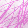 Anther neat bg