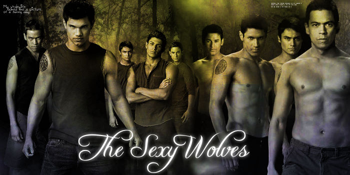 Wolf Pack banner by Bellelion on DeviantArt