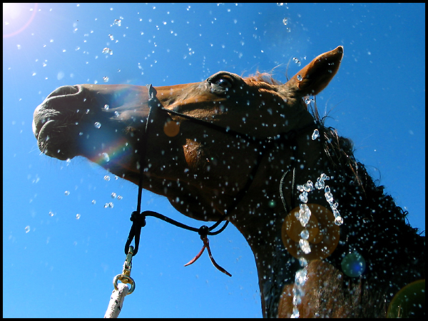 Tinto's Bath