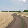 Rural Road