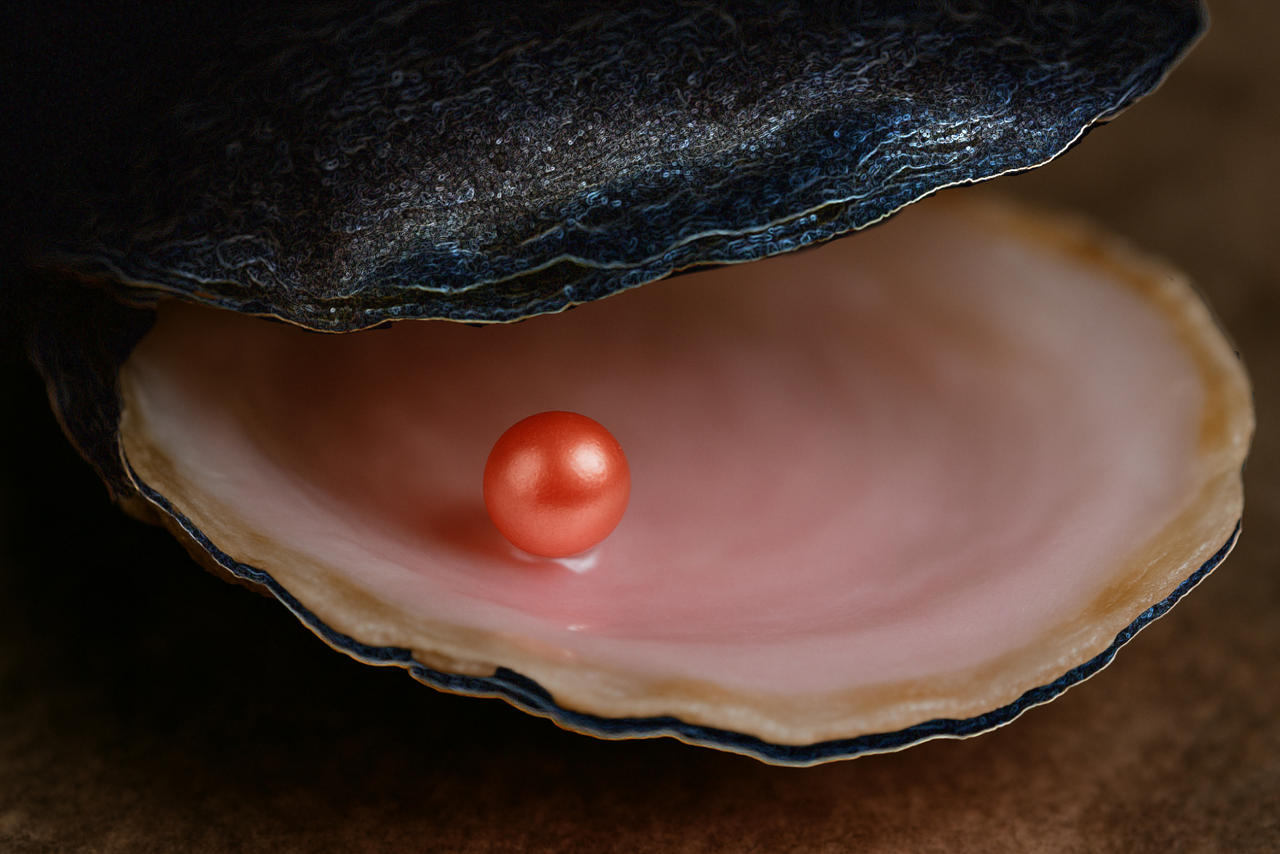 Pink as the brink of a sea shell is dyed