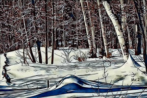 Stopping by Woods on a Snowy Evening