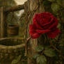 The Bramble and the Rose