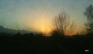 The Dying of the Light