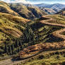 Rattlesnake Grade