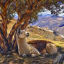 Andean Afternoon