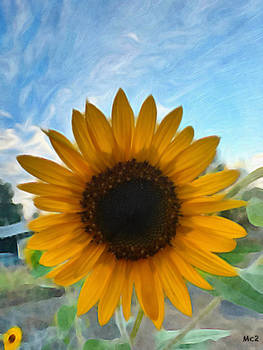 J. M. Van Gogh