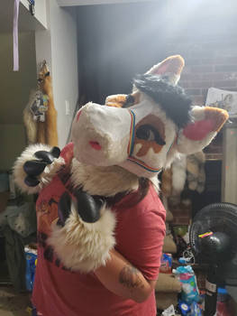 Fursuit for sale