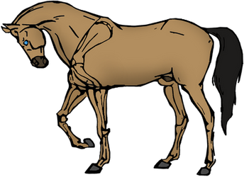 Unnamed Horse Redraw