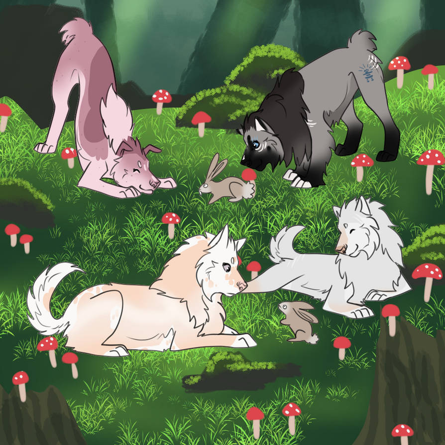 Phil Cho Rabbit Red Rabbit Hunt Cho 6 by sushi-socks on DeviantArt