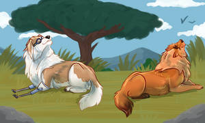 RoD: 2, Tippy and Queso