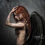 Lost Angel