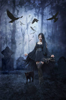 Not all queens wear crowns - Some walk with crows