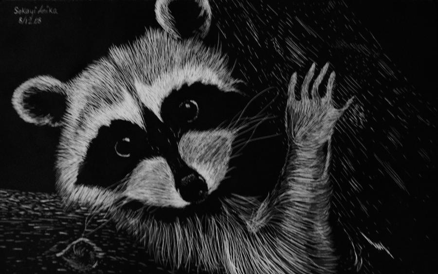 ricky the raccoon by SekayianikA on DeviantArt