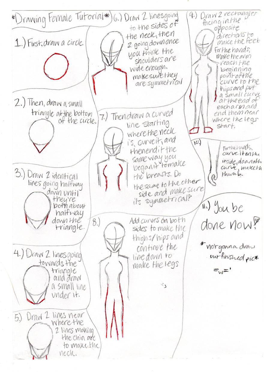 Woman Drawing Overview Female Drawing Tutorial by invisible0verhere on DeviantArt