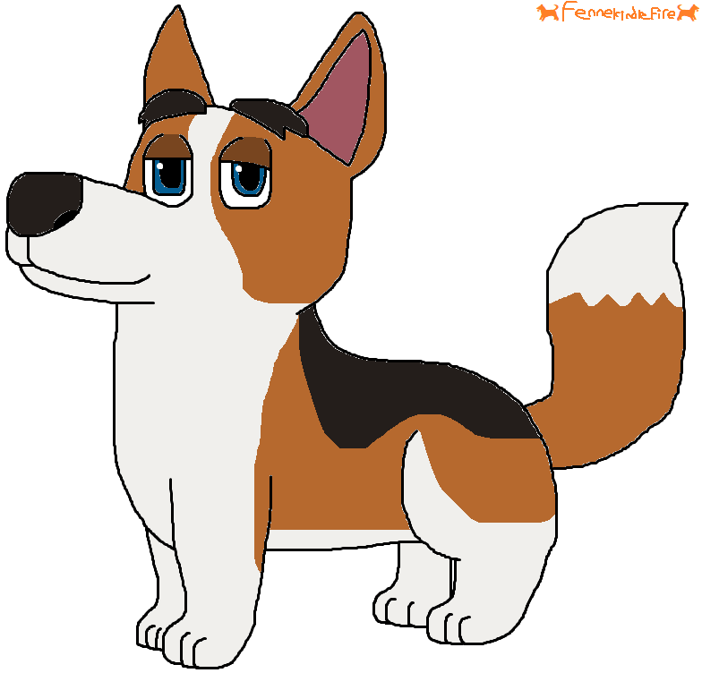 Crumpet hot sale the corgi