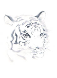 Tiger sketch