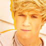 One Direction Niall