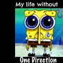 WITHOUT ONE DIRECTION