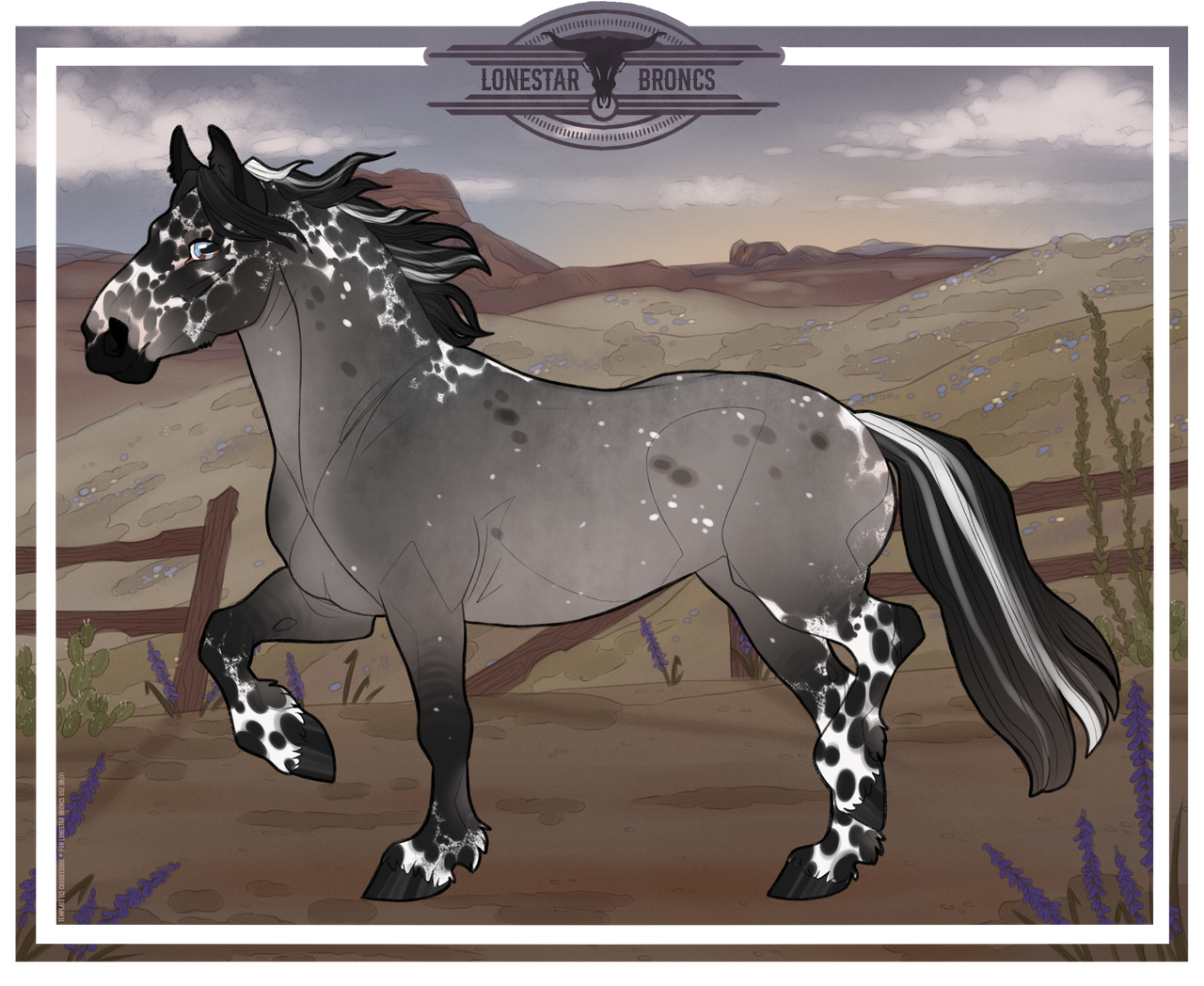 B018 | DTR Hurricane Blackout