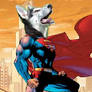 Superdogman