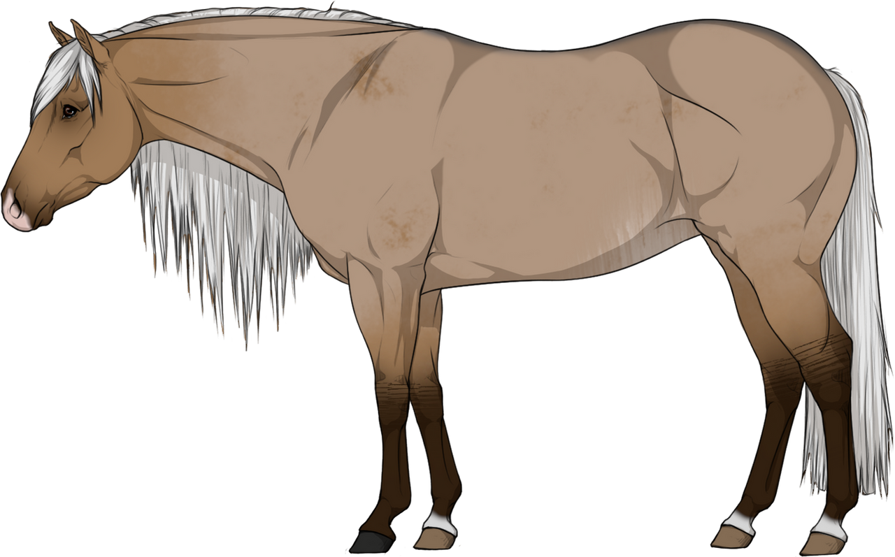 Sandy Expression RKH Sandy Expression by Tornados-Grace on DeviantArt