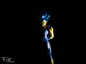 Ssj Blue Vegeta