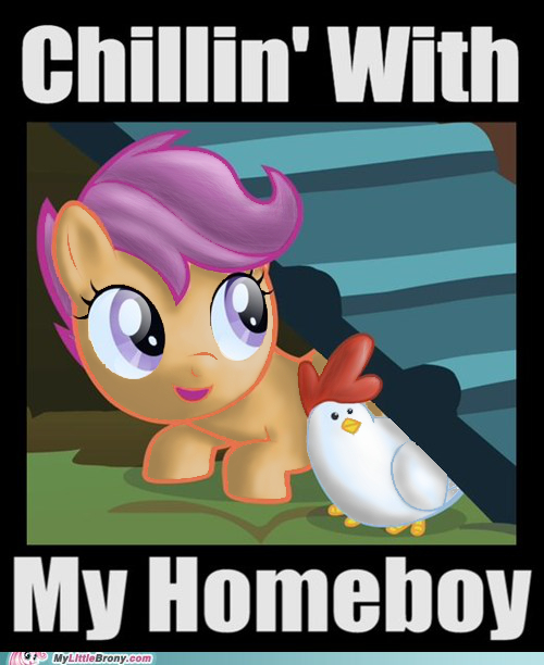 Scootaloo's biological brother