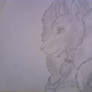 Sketch Snow Fox