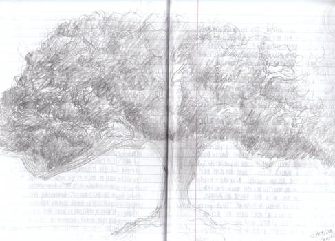 tree sketch