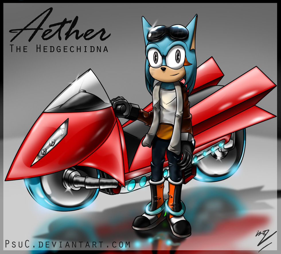 Aether the Hedgechidna