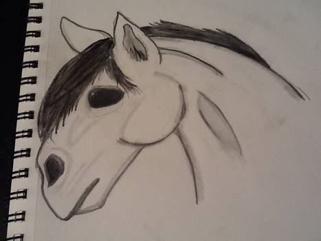 Draft Horse Sketch