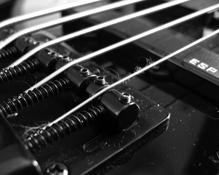 Esp B-55 bass