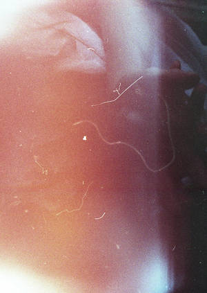 lomography, light leaks by electrick-bunny lomography, light leaks by electrick-bunny