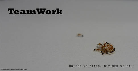 Teamworks - An Ant's Tales